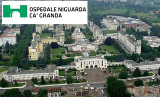 gattopastro via pastro 10 - Milan - 9