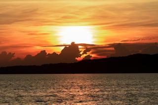 Mayagloo - Flores - 2