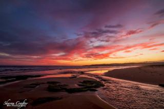 Galbraith Beach Studios - Studio 1 - Marengo - 3