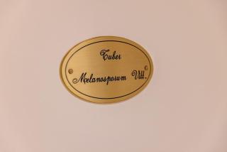 Truffle House Tuscany Tuber Melanosporum Vitt - Montepulciano - 9