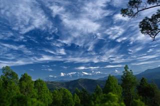 Woodsvilla Resort Ranikhet - Rānīkhet - 2