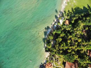 Casinha Jardim das Palmeiras - 3