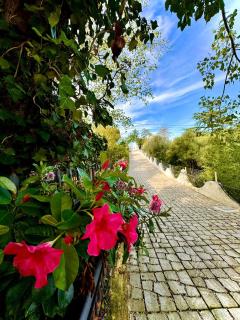Lamapulia - Torre a Mare - 1