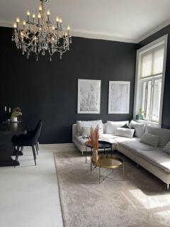 Fancy apartment by Royal Palace - Oslo - 2