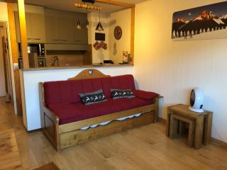 Studio Familial aux Gets - Balcon Sud, Proche Télécabines et Skis, Parking et Confort Inclus - FR-1-671-254 - 0