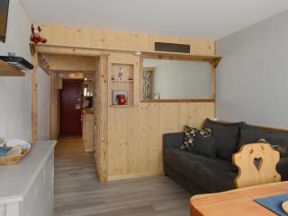 Superbe studio cabine rénové accès direct aux pistes - FR-1-181-2734 - Aime La Plagne - 8