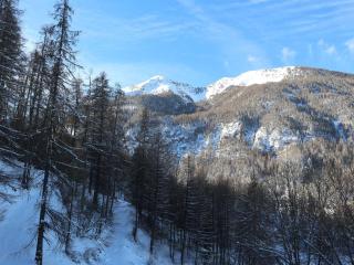 Studio Confort 6 Pers, Balcon Sud, Accès Pistes & Navette - Les Orres 1650 - FR-1-322-538 - Les Orres - 2
