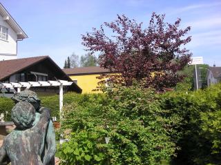 Arthotel Ana Panorama - Marktoberdorf - 7