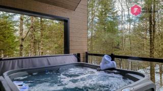 Le Bleu Bourgeois de Portneuf - Natural Elegance - Hot tub, sauna and pool - Pont-Rouge - 8