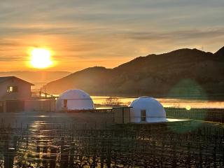 Glamping Dome - Rosé - Cromwell - 6