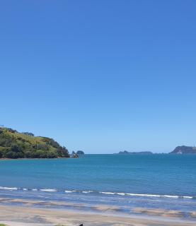 Beachsider Whitianga - Whitianga - 0