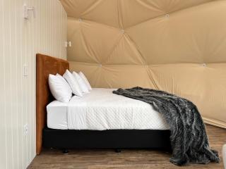 Glamping Dome - Rosé - Cromwell - 4