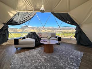 Glamping Dome - Rosé - Cromwell - 5