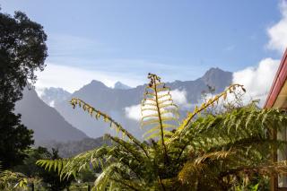 Ropatinis Bed & Breakfast - Fox-Gletscher - 8