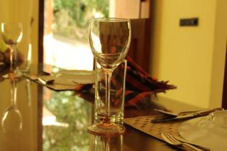 Kandy Lotus Hotel - 0