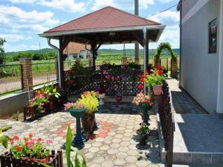 Guest House Dunavski Raj - Kostol - 5