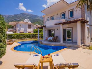 Hanel Life Royale 15 Villa With Private Pool - Fethiye - 3