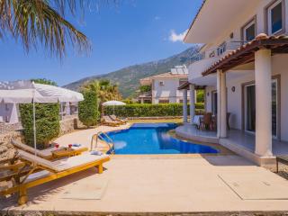 Hanel Life Royale 15 Villa With Private Pool - Fethiye - 5