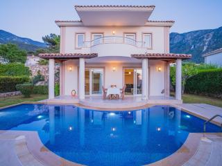 Hanel Life Royale 15 Villa With Private Pool - Fethiye - 0