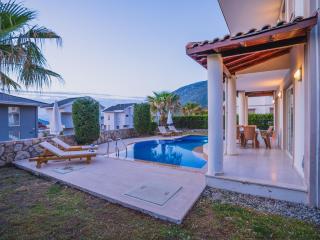 Hanel Life Royale 15 Villa With Private Pool - Fethiye - 2