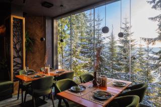Stara Pravda Villas - Bukovel - 3