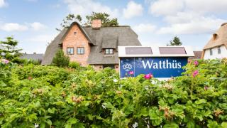 Watthues Wenningstedt - Wenningstedt - 6