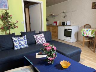 Apartment Old Hüsung - MUZ325 by Interhome - 9
