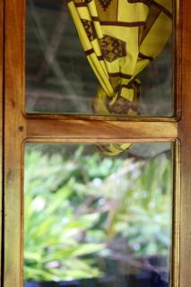 Embe Lodge - Kizimkazi - 5
