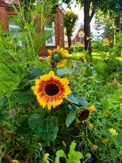 Holiday Home Kettler by Interhome - 8