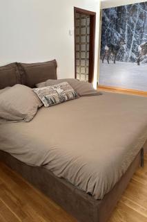 Studio Piciol by Interhome - Madonna di Campiglio - 4
