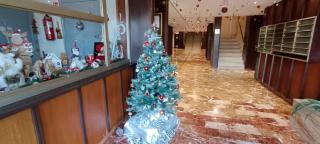 apartment 50m from historic town 5min Beach Palais Croisette - Free private parking - 9