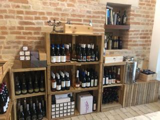 Gastronomic B&B CarloCarla - Monte San Pietrangeli - 1