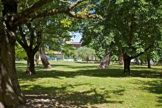 The Willow Tree - Le Thor - 6