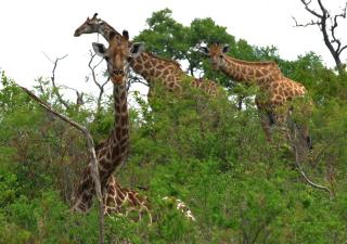 LAKE-HOUSE CABIN - 8