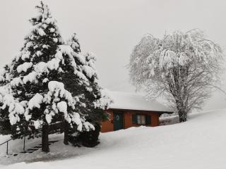 Haus Otis - Bad Mitterndorf - 9