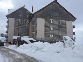 Mambas apartment in Gudauri near Smart supermarket - 1