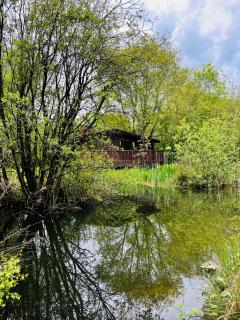 Secluded Rustic Cabin - A Digital Detox Paradise. - York - 9