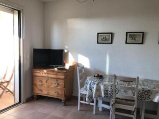 Direct sea access, patio, lawn, private parking Reservations Saturday to Saturday only - Saintes-Maries-de-la-Mer - 3