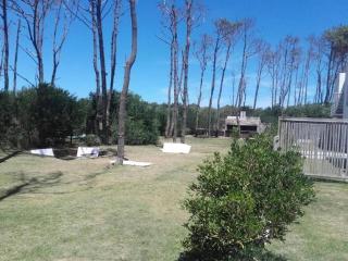 Mar, Bosque y Lago - José Ignacio - 2