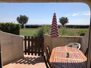 Direct sea access, patio, lawn, private parking Reservations Saturday to Saturday only - Saintes-Maries-de-la-Mer - 0