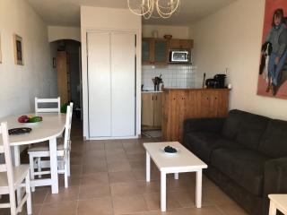 Direct sea access, patio, lawn, private parking Reservations Saturday to Saturday only - Saintes-Maries-de-la-Mer - 4