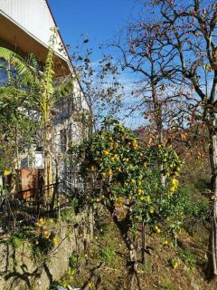 Robin's house - Ch'aisubani - 2