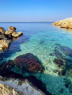 La Petite Calanque - Marsiglia - 8
