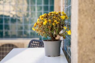 João IV Jewel Retreat by LovelyStay - Porto - 8