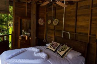 Wanakaset Forest Glamping - 3