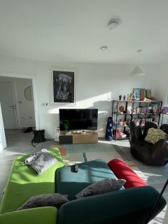 Bright 1BD Flat wBalcony - Heart of Brixton! - Londra - 5