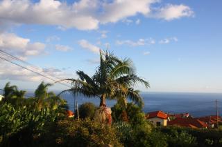 Lugar dos Louros 1 - Estreito da Calheta - 9