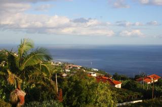 Lugar dos Louros 1 - Estreito da Calheta - 8