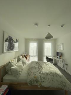 Bright 1BD Flat wBalcony - Heart of Brixton! - Londra - 2