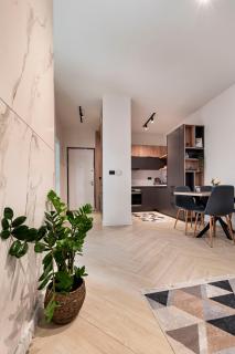 Penthouse Apartment Bulevar Sarajevo - Sarajevo - 7